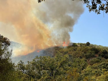 Terrore a Palermo, incendi a pochi metri dalle abitazioni 3