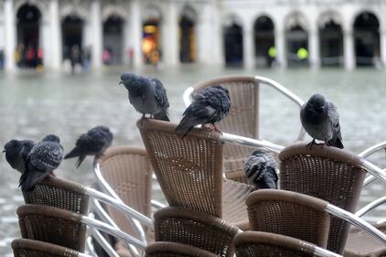 Ancora disagi a Venezia. Acqua alto a 160 cm 6
