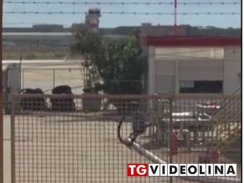 Il governo blocca i turisti Usa e fa sbarcare i migranti positivi
