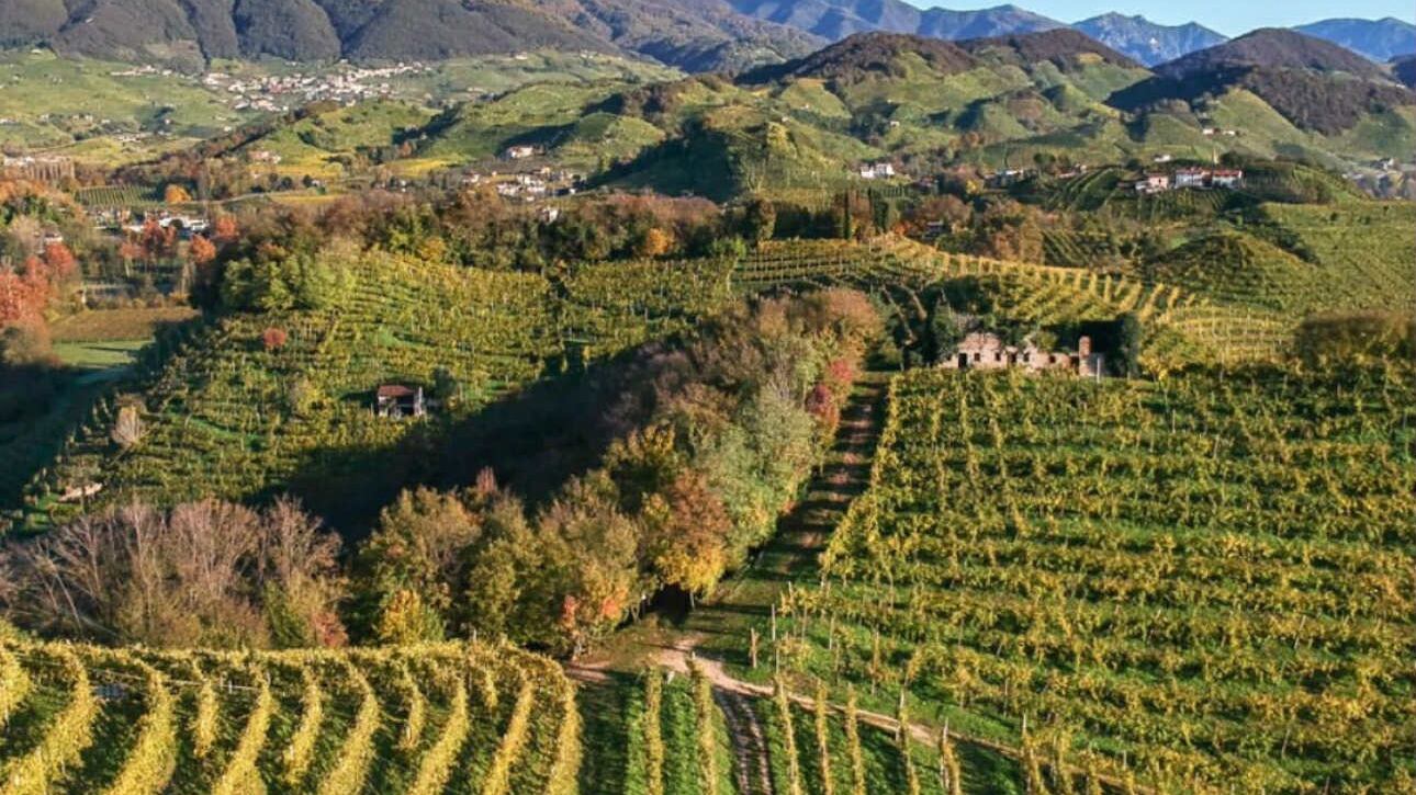 La Tordera: radici profonde, sguardo lungo