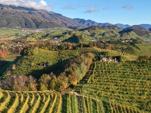 La Tordera: radici profonde, sguardo lungo