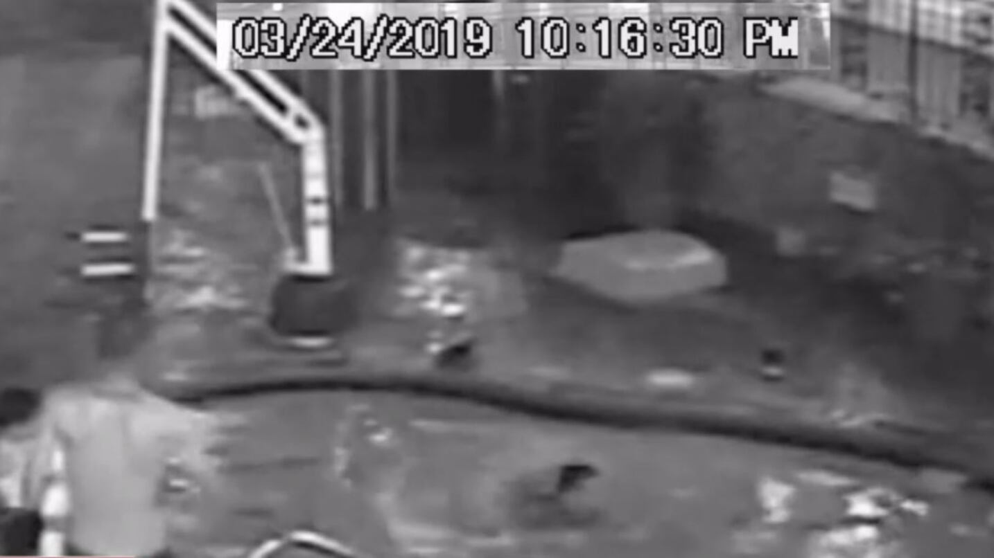 Florida, madre ubriaca non si accorge che il figlio sta affogando