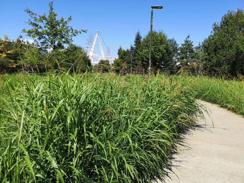 Torino, quel giardino dimenticato dedicato alle vittime delle foibe 2