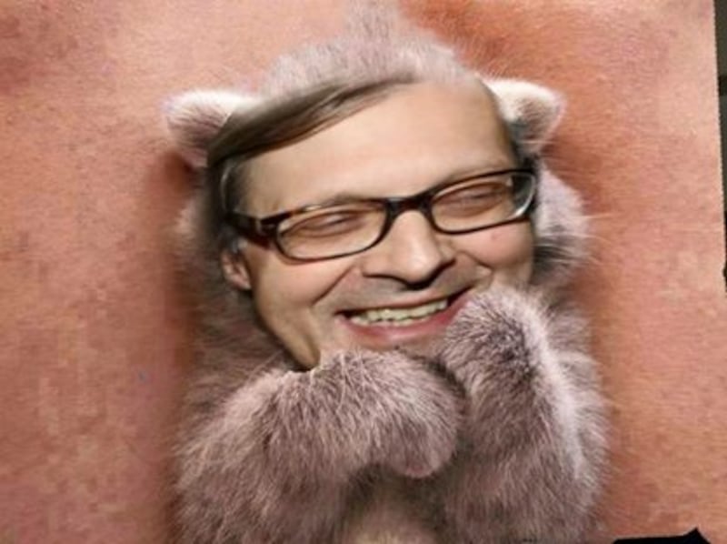 Vittorio Sgarbi invaso da immagini di gatti 2