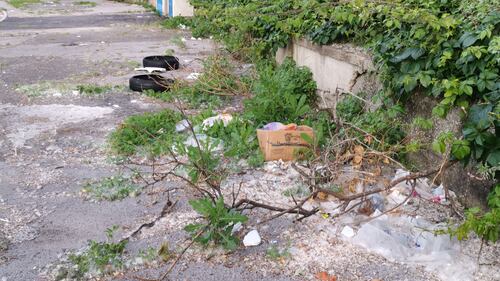 Napoli, l'abbandono di Agnano 5