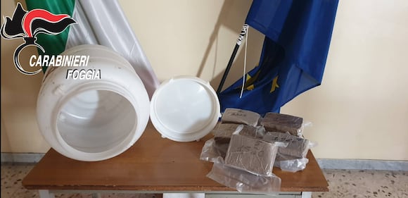 Foggia, trovati in campagna otto chili di kobret  1