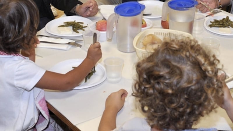 “Vi svelo i crimini nel piatto dei vostri figli a scuola”