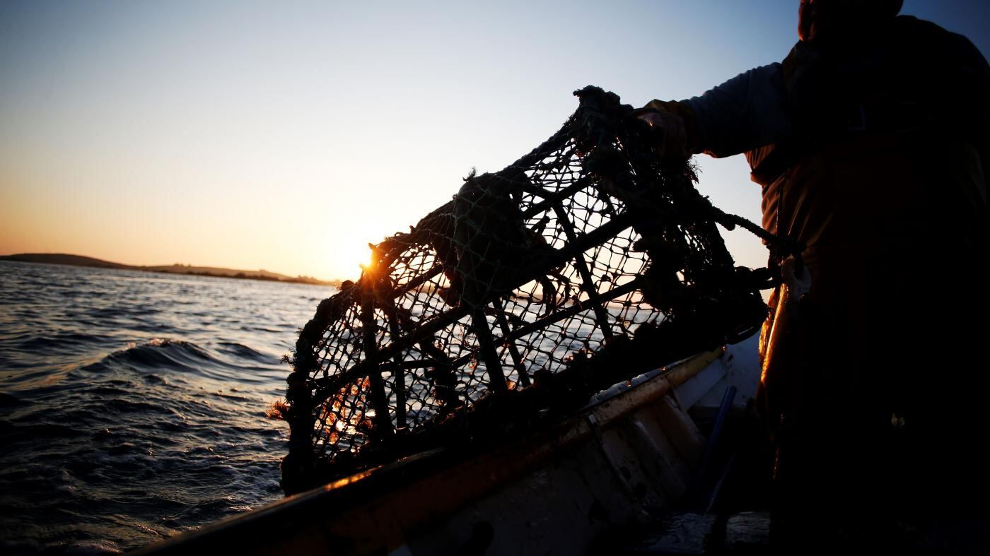 Il governo prende all'amo gli italiani: arriva la tassa da cento euro sulla pesca