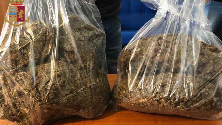 Pusher nigeriana in manette, usava l'aglio per camuffare l'odore della marijuana
