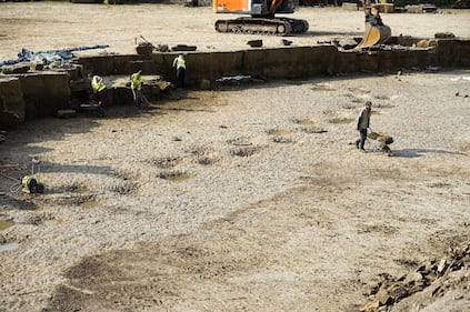 Germania, scoperte impronte giganti di dinosauro 11