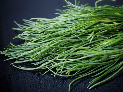 Barba di frate, gli agretti in cucina: proprietà e impieghi più comuni