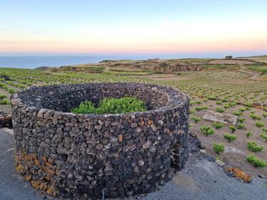 Mare, vigneti e tradizioni: il tesoro di Pantelleria 7
