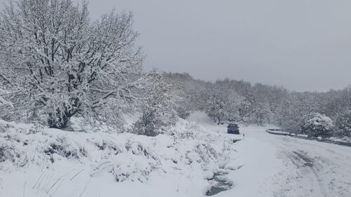 Freddo e neve, in Sardegna si stringe la morsa del gelo 11