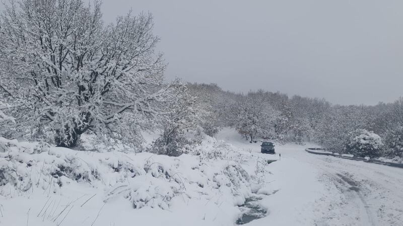Freddo e neve, in Sardegna si stringe la morsa del gelo 11