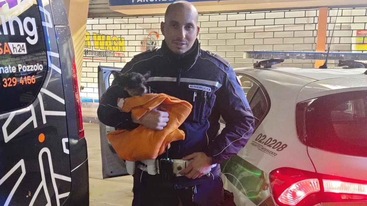 "Indossare la divisa non è solo un lavoro, è una responsabilità": chi era Francesco Imprezzabile