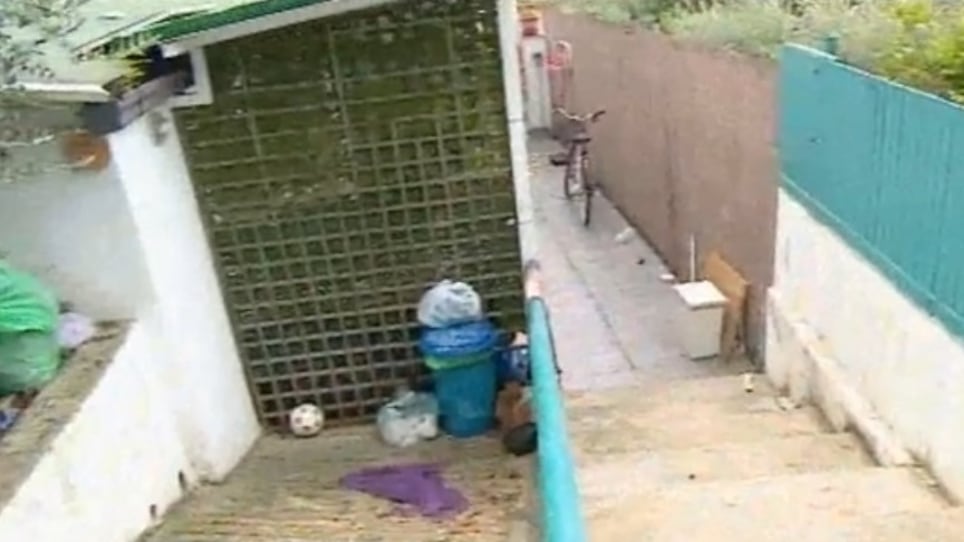 Chieti, accoltellata da stalker, donna viene salvata dal suo cane