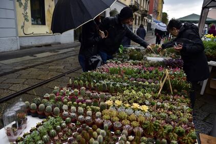 A Milano il Mercato Fiori e Sapori nel Naviglio Grande 4
