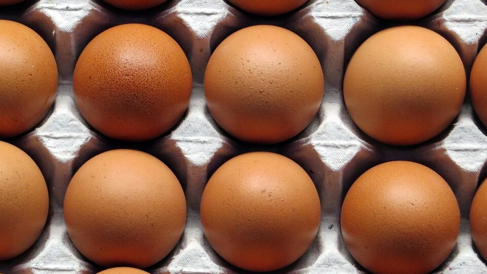 Le uova contaminate: almeno 90mila sequestri