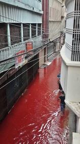Dhaka, strade inondate di sangue 1