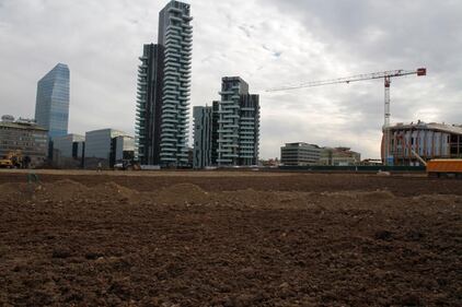 Il campo di grano ​spunta a Porta Nuova 6
