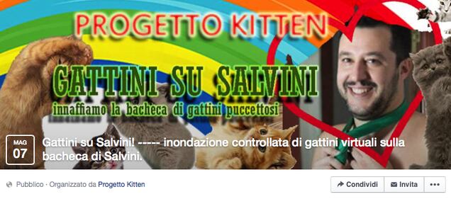 Invasione di gattini sulla bacheca di Salvini 2