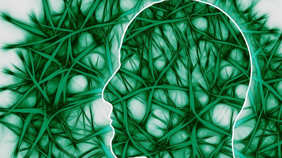 Come il cervello rimuove le nostre paure