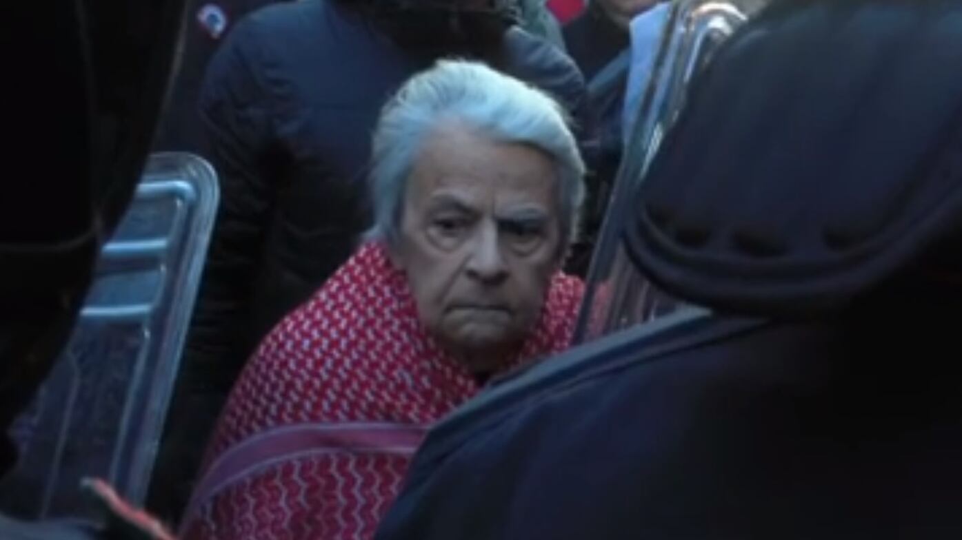 "Non è il mio presidente". Attacca Mattarella al corteo pro Palestina: carabiniere trasferito