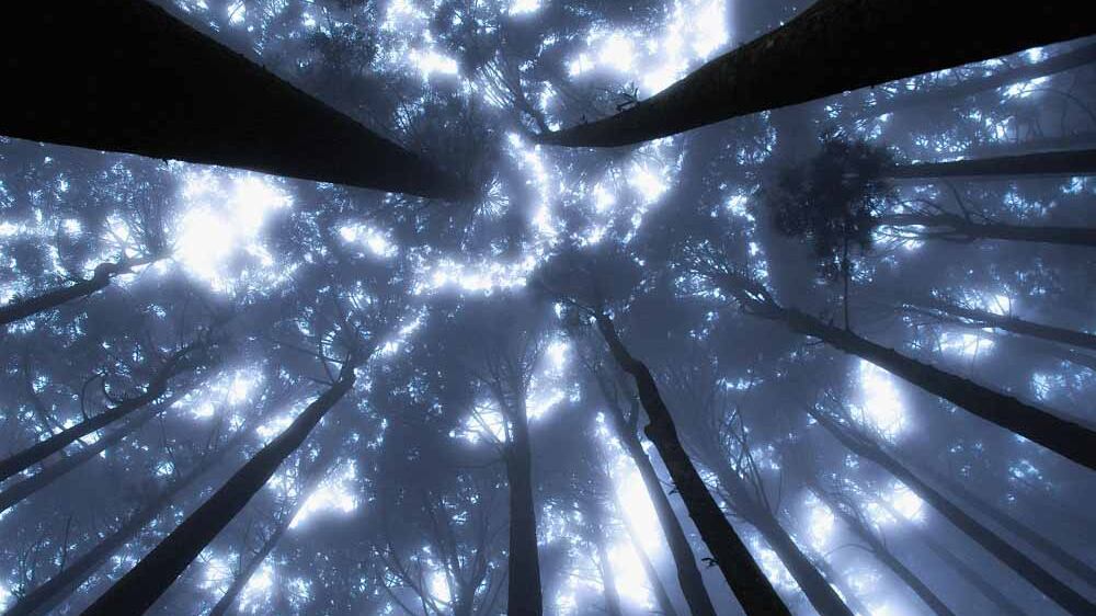 Il mistero del genoma umano: tracce di organismi primordiali