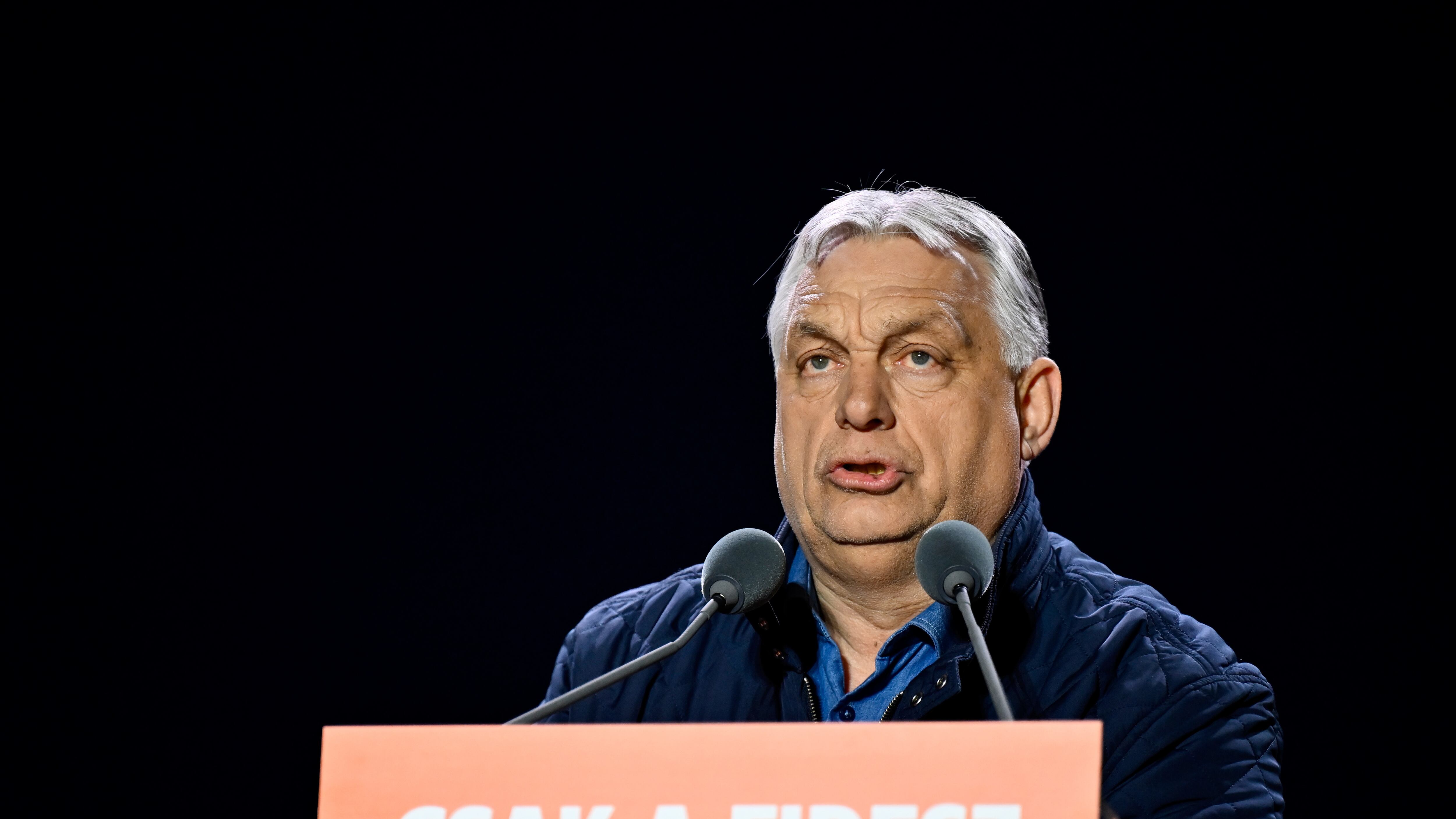 La parabola di Viktor, dal trionfo alla sconfitta