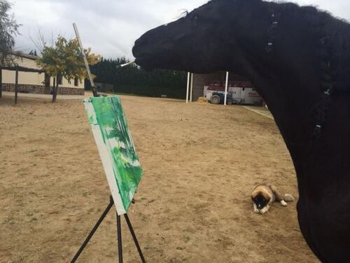 I quadri di Napoleon, il cavallo artista, all'asta per beneficenza