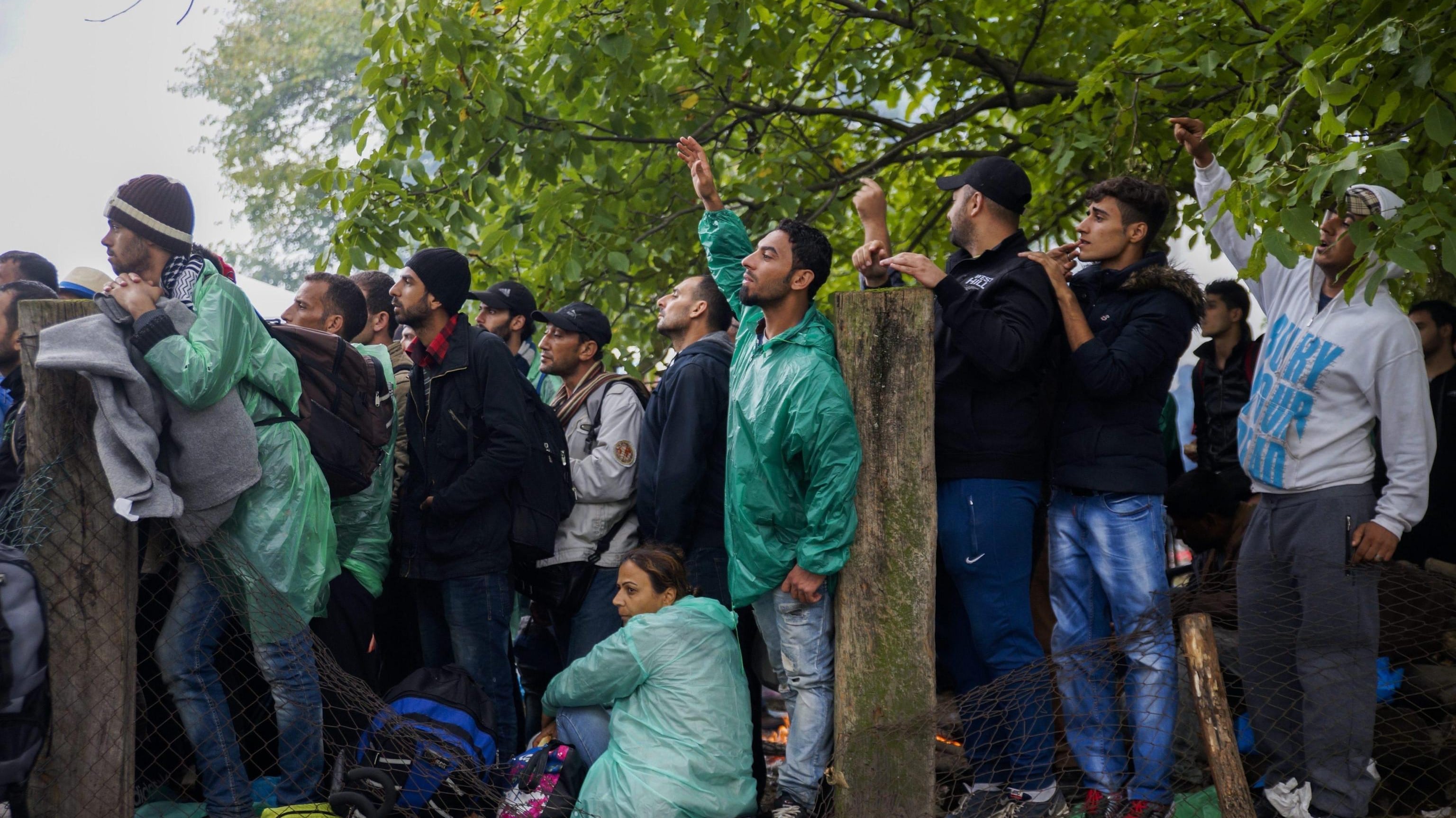 "Ecco come arrivare in Europa". La guida della sinistra radical chic pubblica l'edizione per migranti