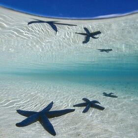 #WakeUpPics: foto delle speranze per il 2013 16