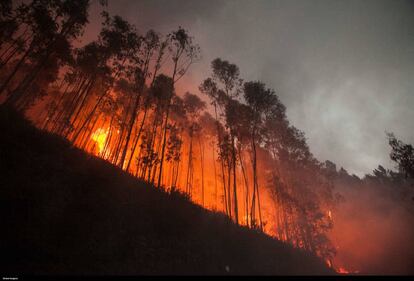 California devastata dagli incendi 7