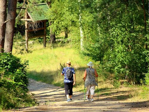 Bonus vacanze e benessere. Chi può ottenerlo e come averlo