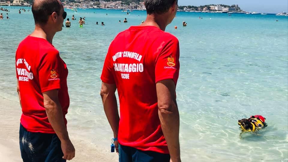 Stavano per affogare a Mondello, cani bagnino salvano due ragazzine