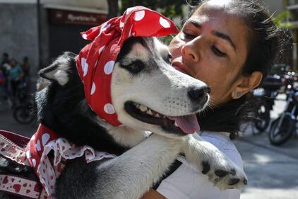 I cani e la Brexit: la manifestazione a Londra  1