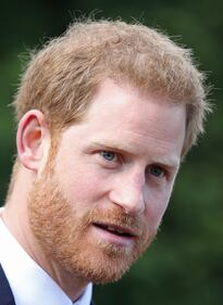 Royal Family, i Fab Four: foto 1