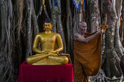 Le celebrazioni per il compleanno di Buddha 6