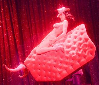 Dita Von Teese, burlesque che fa impazzire 10