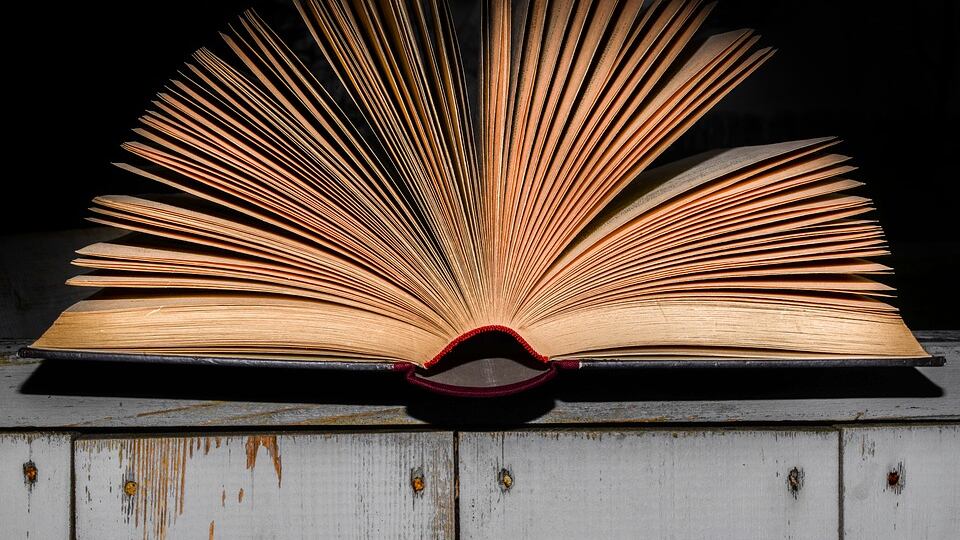 Giornata mondiale del libro: incontri ed eventi per celebrarla