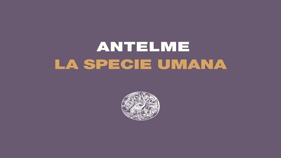 Così cade e si rialza "la specie umana"