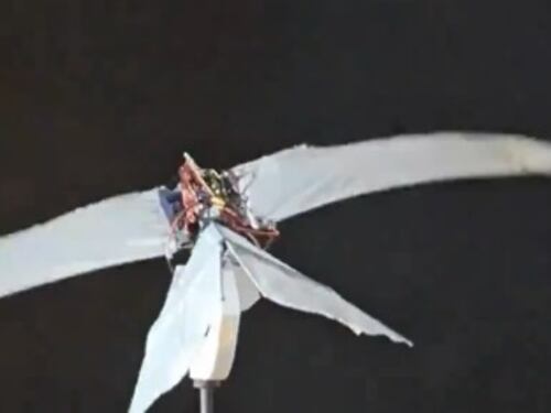 Nuovo drone rivoluzionario per Pechino: cosa può fare il "piccolo falco" cinese