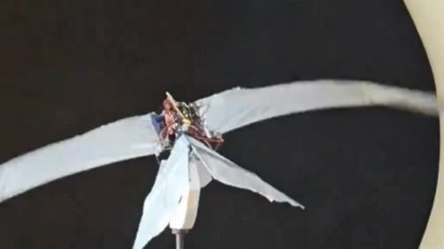 Nuovo drone rivoluzionario per Pechino: cosa può fare il "piccolo falco" cinese