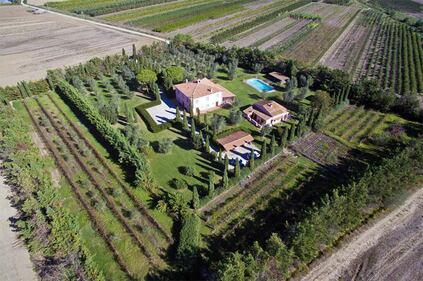Vendesi villa di Pino Daniele 7