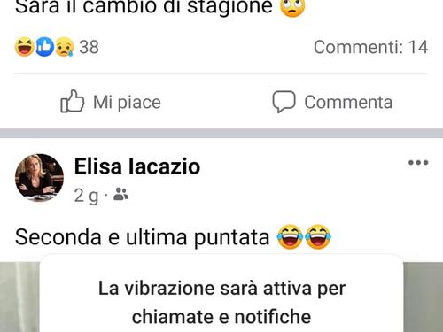 "All'improvviso tutti dislessici..". Il post della preside di Rho scatena una bufera