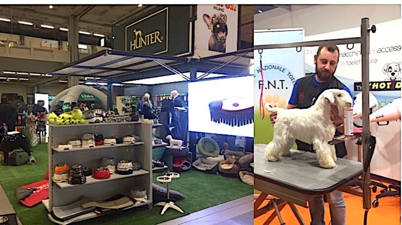 Cani, gatti e non solo: un weekend nel mondo degli animali Pet in fiera