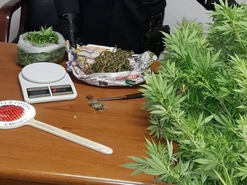 Ladispoli, preso spacciatore: in casa aveva un chilo di erba