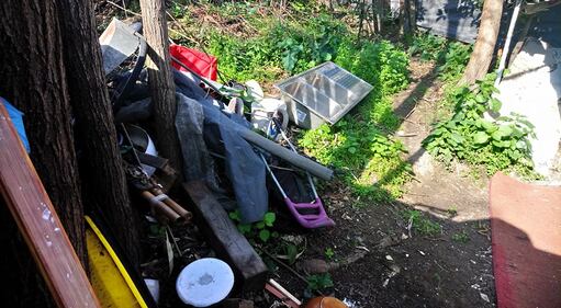 Roma, il degrado del parco naturale del Pineto 15