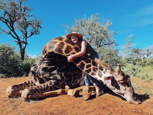 Cacciatrice uccide giraffa e regala il cuore dell'animale al marito: "È per San Valentino"