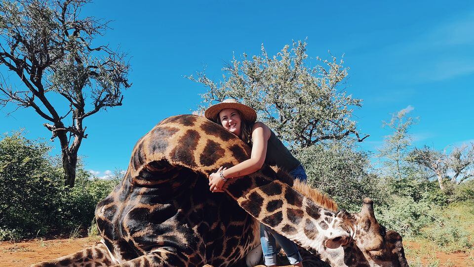 Cacciatrice uccide giraffa e regala il cuore dell'animale al marito: "È per San Valentino"